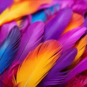 Les différentes couleurs de plumes et leurs interprétations