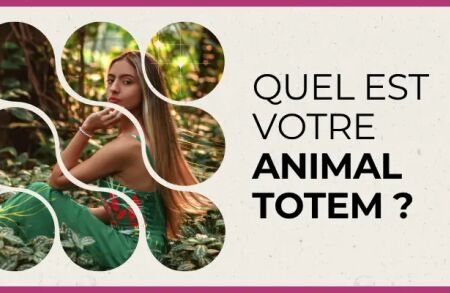 Quiz - Quel est votre animal Totem ?