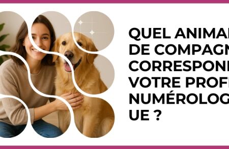 Test - Quel animal de compagnie correspond à votre profil numérologique ?