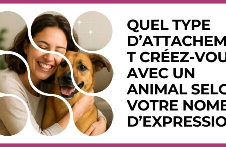 Test - Quel type d’attachement créez?vous avec un animal selon votre nombre d’expression ?