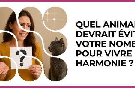 Test - Quel animal devrait éviter votre nombre pour vivre en harmonie ?