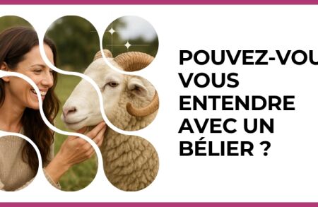 Test - Pouvez-vous vous entendre avec un Bélier ?