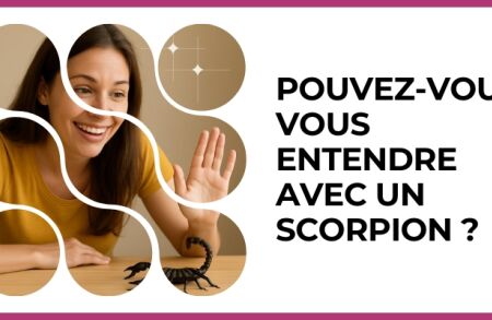 Test - Pouvez-vous vous entendre avec un Scorpion ?