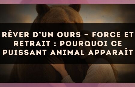 Rêver d’un ours — Force et retrait : pourquoi ce puissant animal apparaît