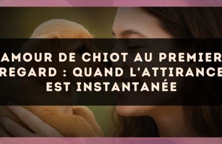 Amour de chiot au premier regard : quand l'attirance est instantanée