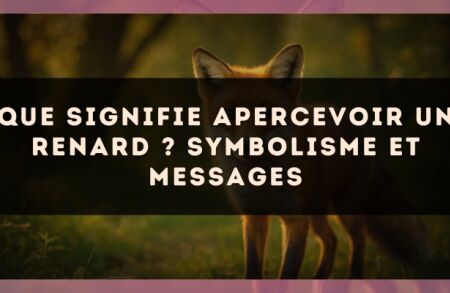 Que signifie apercevoir un renard ? Symbolisme et messages