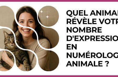 Test - Quel animal révèle votre Nombre d'Expression en numérologie animale ?