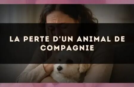 La perte d'un animal de compagnie
