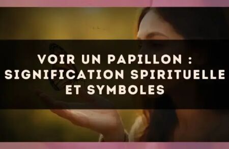 Voir un papillon : signification spirituelle et symboles