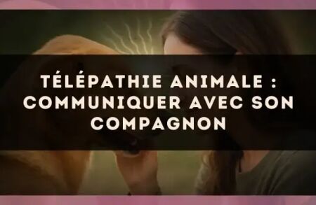 Télépathie animale : communiquer avec son compagnon