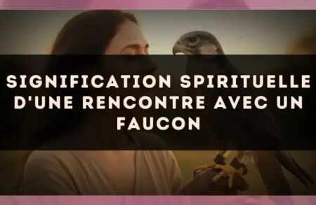 Signification spirituelle d'une rencontre avec un faucon