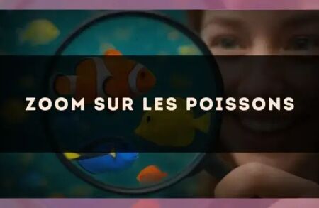 Zoom sur les Poissons