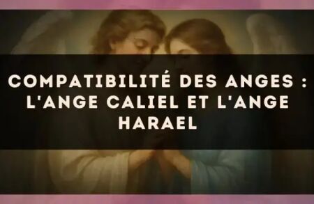 Compatibilité des anges : l'Ange Caliel et l'Ange Harael