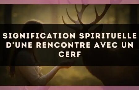 Signification spirituelle d'une rencontre avec un cerf