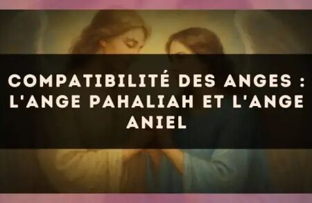 Compatibilité des anges : l'Ange Pahaliah et l'Ange Aniel