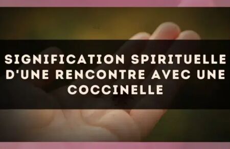 Signification spirituelle d'une rencontre avec une coccinelle