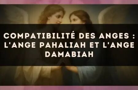 Compatibilité des anges : l'Ange Pahaliah et l'Ange Damabiah