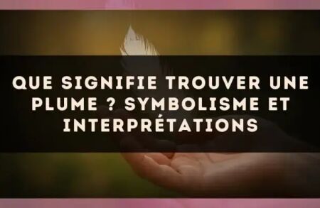 Que Signifie Trouver une Plume ? Symbolisme et Interprétations