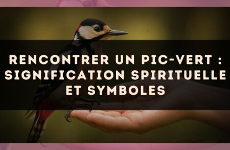 Rencontrer un pic-vert : signification spirituelle et symboles