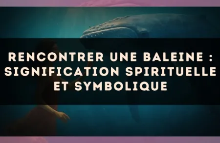 Rencontrer une baleine : signification spirituelle et symbolique