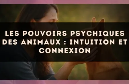 Les pouvoirs psychiques des animaux : intuition et connexion