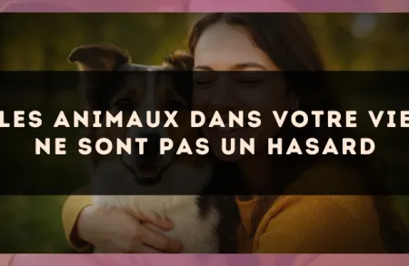 Les animaux dans votre vie ne sont pas un hasard