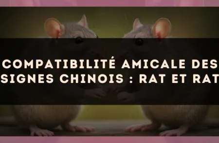 Compatibilité amicale des signes chinois : Rat et Rat
