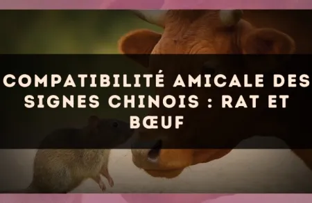 Compatibilité amicale des signes chinois : Rat et Bœuf