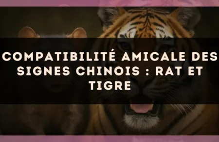 Compatibilité amicale des signes chinois : Rat et Tigre