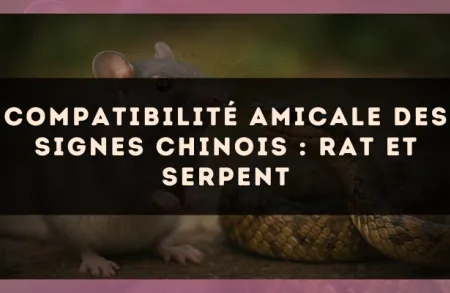 Compatibilité amicale des signes chinois : Rat et Serpent