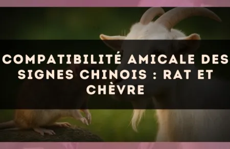 Compatibilité amicale des signes chinois : Rat et Chèvre