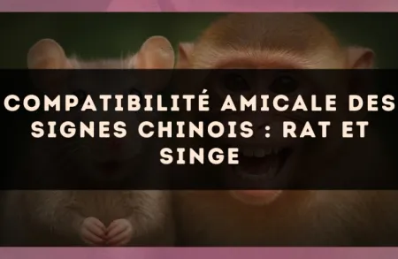 Compatibilité amicale des signes chinois : Rat et Singe