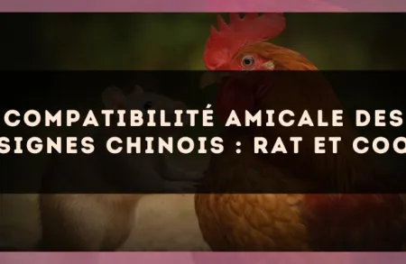 Compatibilité amicale des signes chinois : Rat et Coq