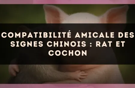 Compatibilité amicale des signes chinois : Rat et Cochon