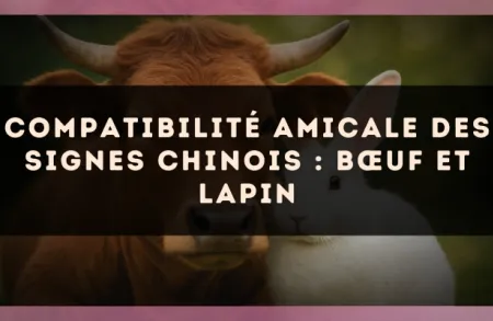 Compatibilité amicale des signes chinois : Bœuf et Lapin