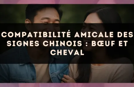 Compatibilité amicale des signes chinois : Bœuf et Cheval