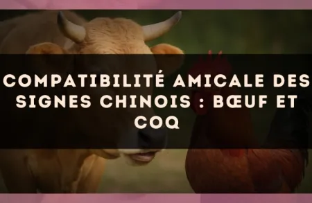 Compatibilité amicale des signes chinois : Bœuf et Coq