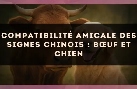 Compatibilité amicale des signes chinois : Bœuf et Chien