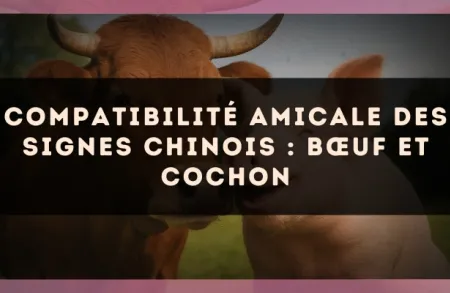 Compatibilité amicale des signes chinois : Bœuf et Cochon