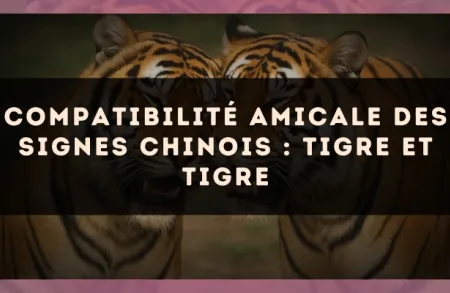 Compatibilité amicale des signes chinois : Tigre et Tigre