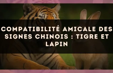 Compatibilité amicale des signes chinois : Tigre et Lapin