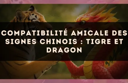 Compatibilité amicale des signes chinois : Tigre et Dragon
