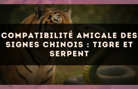 Compatibilité amicale des signes chinois : Tigre et Serpent