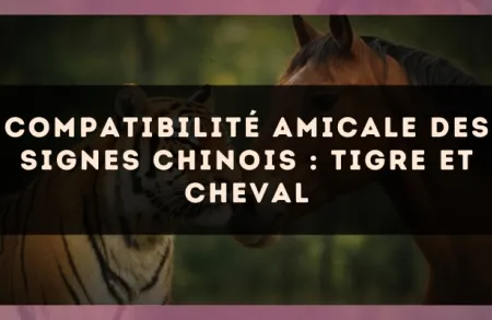 Compatibilité amicale des signes chinois : Tigre et Cheval