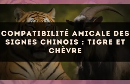 Compatibilité amicale des signes chinois : Tigre et Chèvre