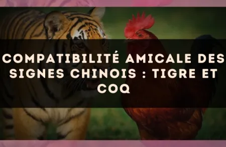 Compatibilité amicale des signes chinois : Tigre et Coq