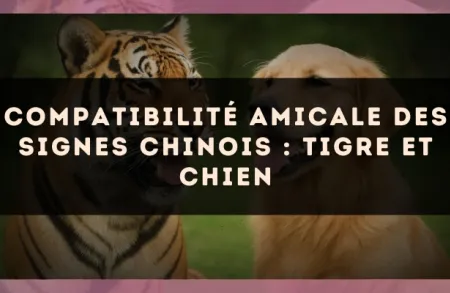 Compatibilité amicale des signes chinois : Tigre et Chien