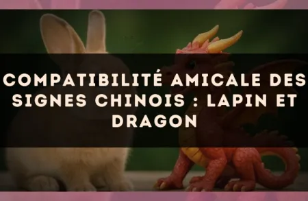 Compatibilité amicale des signes chinois : Lapin et Dragon