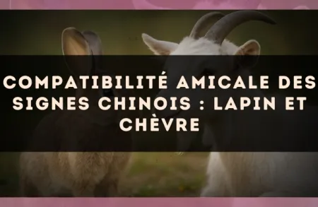 Compatibilité amicale des signes chinois : Lapin et Chèvre