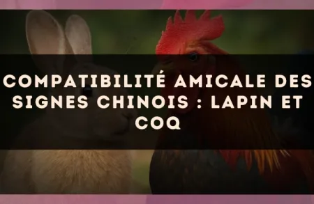Compatibilité amicale des signes chinois : Lapin et Coq